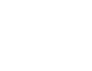 FEROX Ninja Park Logo